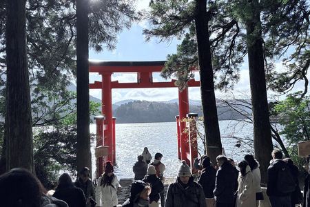 Hakone Private Tour from Tokyo with Hot Springs & Boat Cruise