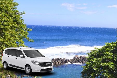 Private Tour of the Wild South with a Driver Guide