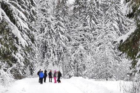 Lahemaa National Park and Three Waterfalls Tour