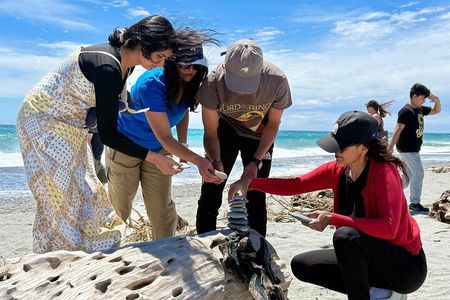 Franz Josef to Wanaka Small-Group Tour (One-Way) Includes Lunch
