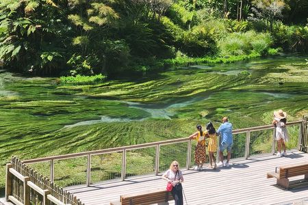 Private Tour WaiOtapu & Huka Falls & Blue springs from Auckland