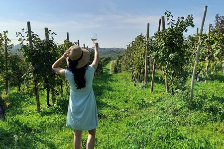 Half Day Prosecco Tour All Inclusive from Conegliano