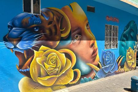 Graffiti tour in Ciudad Bolívar