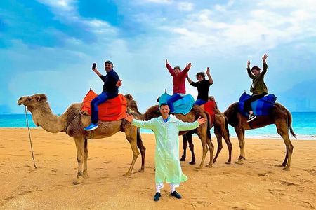Luxury day in Tangier from Tarifa including ferry & camel ride ….