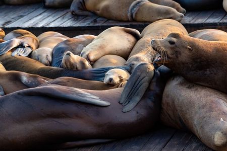 San Diego Day Tour from Orange County