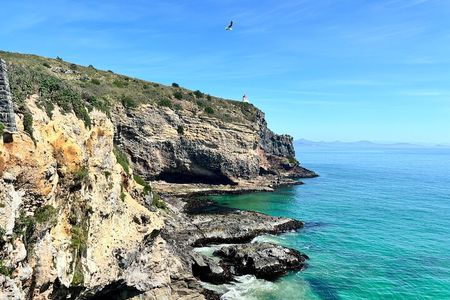天际线 Private Dunedin City &Peninsula Scenery Day Tour ( up to 4 )