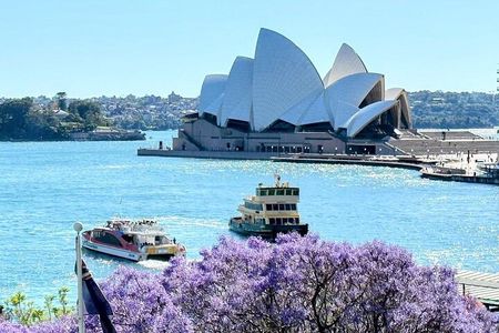 Sydney Private Tour & Pick up & Drop off