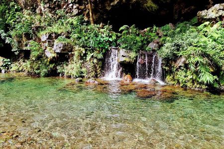 Visit of Reunion Island