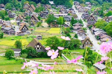 Nagoya Shirakawa go Village and Takayama One Day Tour