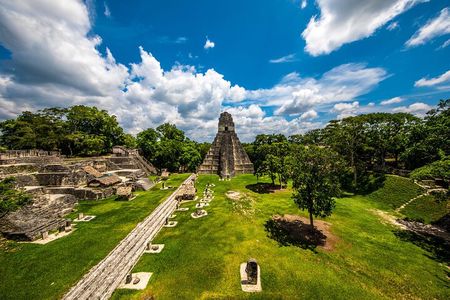 Private Exclusive Tour of Tikal for Families or Groups