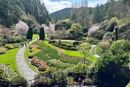 Victoria Highlights: Butchart Gardens, Empress, Chinatown. 1-4pax
