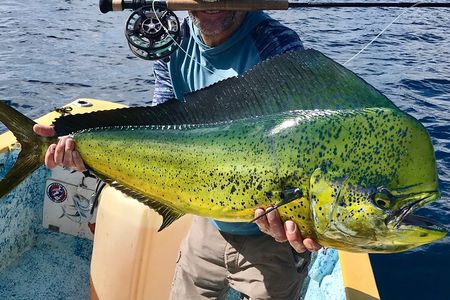 Baja Fishing Dream Roosterfish Dorado Marlin Yellowtail Tuna 