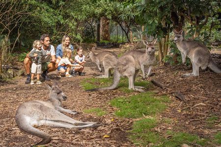 Tour from Eden to Merimbula Wetlands Wildlife and Coastline
