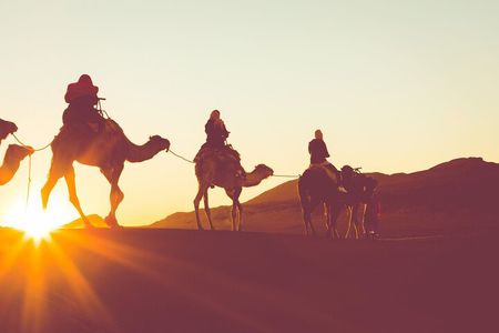 Luxor Camel Adventure Tour in West Bank