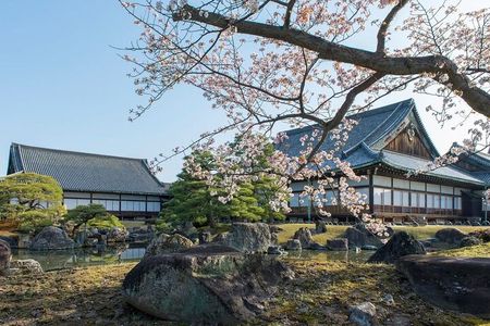 Kyoto Full Day Sightseeing Tour from Osaka or Kyoto