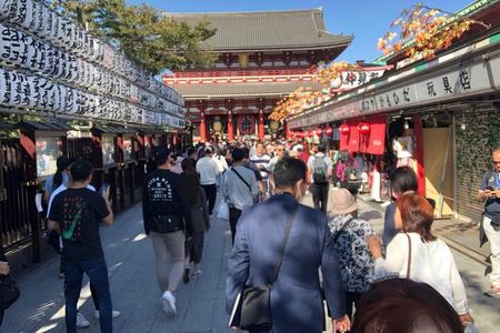 Tokyo Full Day Walking Tour with an Expert Local Guide
