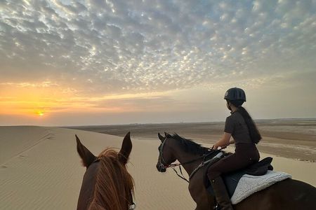 Doha Arabian Horseback Riding Adventure in Desert with Transfers