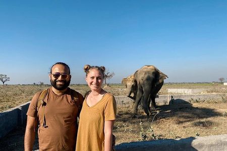 From Agra Private Transfers to Wildlife SOS Elephant Conservation