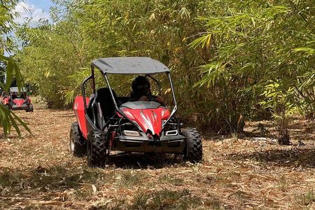 Bamboo Dune Buggy Tour