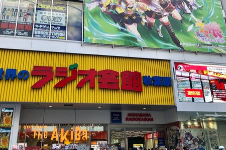 Akihabara Private Custom Tour with Pickup