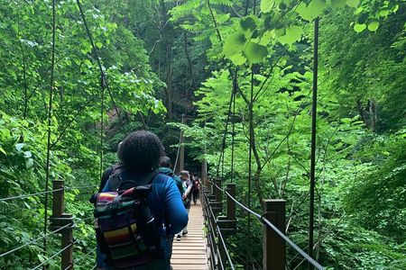 Full Day Hiking Tour at Mt.Takao including Hot Spring