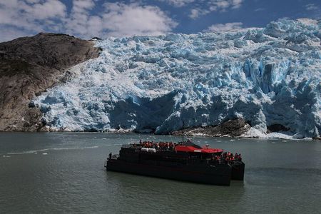 Whale and Glacier Watching from Punta Arenas Francisco Coloane Park