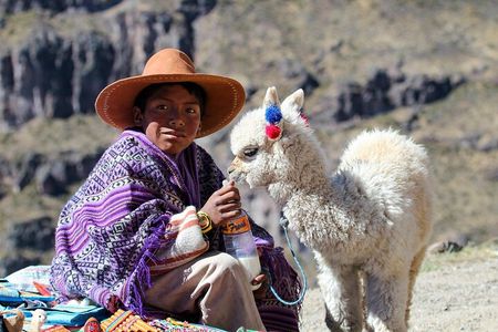 Full Day Colca Canyon Tour