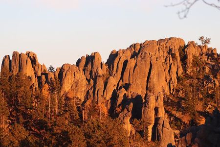  Custer's Wildlife & Night Skies: A Private Tour