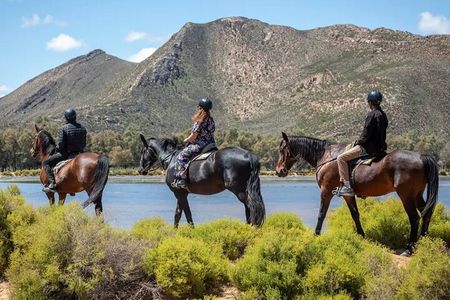 Cape Town Big 5 Safari on Horseback Riding at Aquila Game Reserve