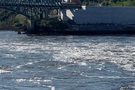 Private Bay of Fundy & City sightseeing (Saint John, NB)