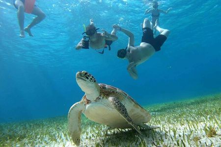 Private Catamaran Tour Charter Custom El Cielo and beach break
