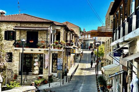 Private:Lefkara Village, Olive Farm incl. tasting and Donkey Farm