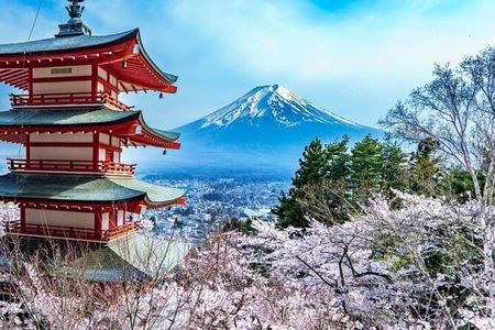 Mount Fuji Private Tour by English Pro Guide with Luxury Vehicle 