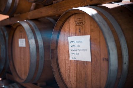 Umbria Mia: Tasting with the Winemaker and Tour of the Cellar.