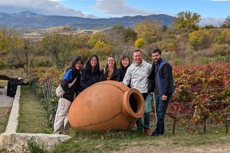 Private Kakheti Tour organic Wine Tasting with Lunch
