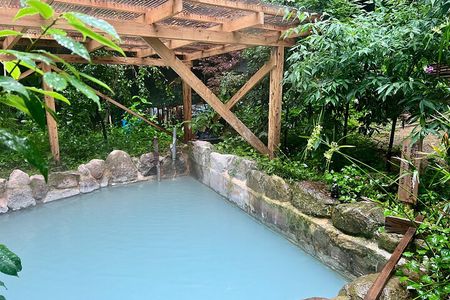 Beppu Private Tour - Onsen Experience in nature
