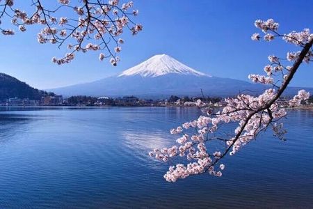 Mt Fuji & Hakone Private Tour from Tokyo & Yokohama 