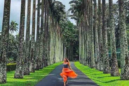 Kandy Day Tour From Colombo