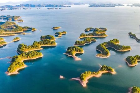 Hangzhou Private Customized Day Trip from SH by Bullet Train