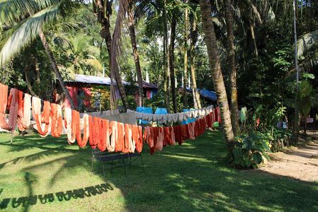 Discover Galle's Hidden Gems: Explore & Dine With Locals