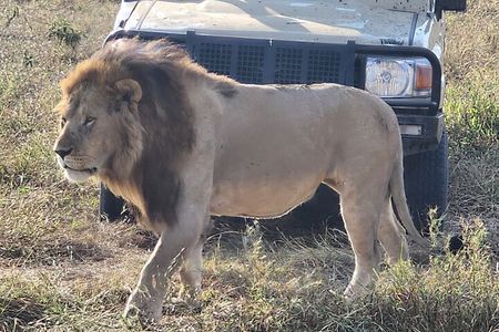 Nairobi National Park Wildlife Safari
