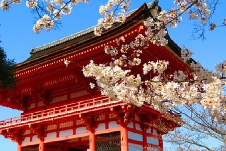 Kyoto 1 Day Golden Route Bus Tour