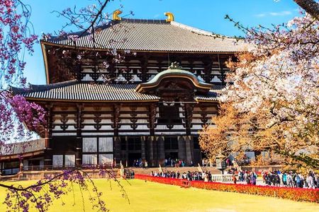Osaka: Nara, Todaiji, Uji Matcha, and Hot Spring Tour