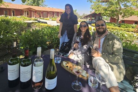 Private Maipo Valley Wine Experience: 2 Premium Wineries & Lunch