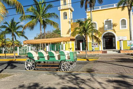 Cozumel's Heart Electric and Horse-drawn Carriage Tour 