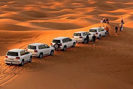 Morning Safari (Private Car)