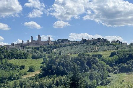 San Gimignano + Lunch&Wine tasting by van from Lucca or Pisa