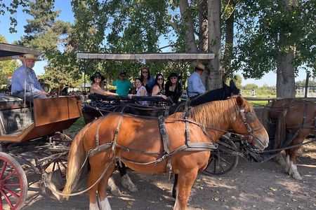  Colchagua Valley Private Tour: Montes + Clos Apalta