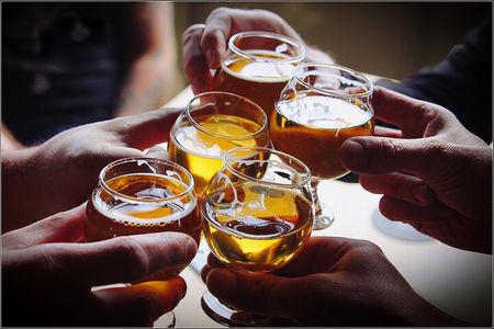 Small group - Napier, Wine, Beer & Cider Tour - 5.0 - 5.5 hours 
