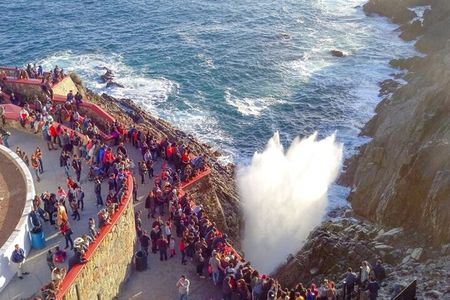Ensenada Zipline and Blowhole Tour